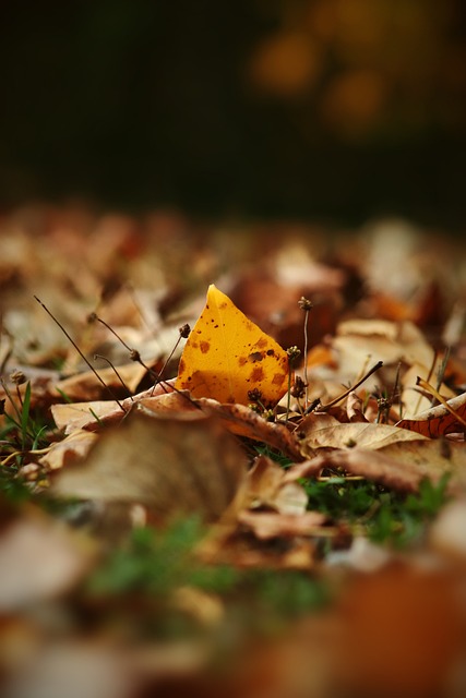 阿媒：阿根廷足协遭司法部门搜查，涉嫌与某金融机构存在关联