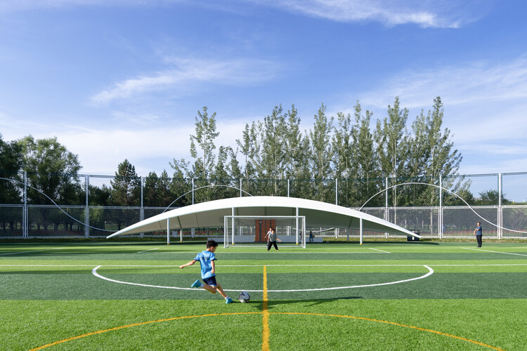 篮球火箭球员赛季得分持续增长