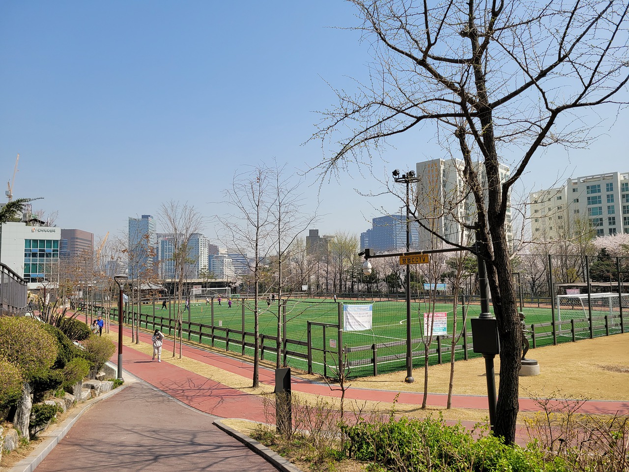 率都展示了