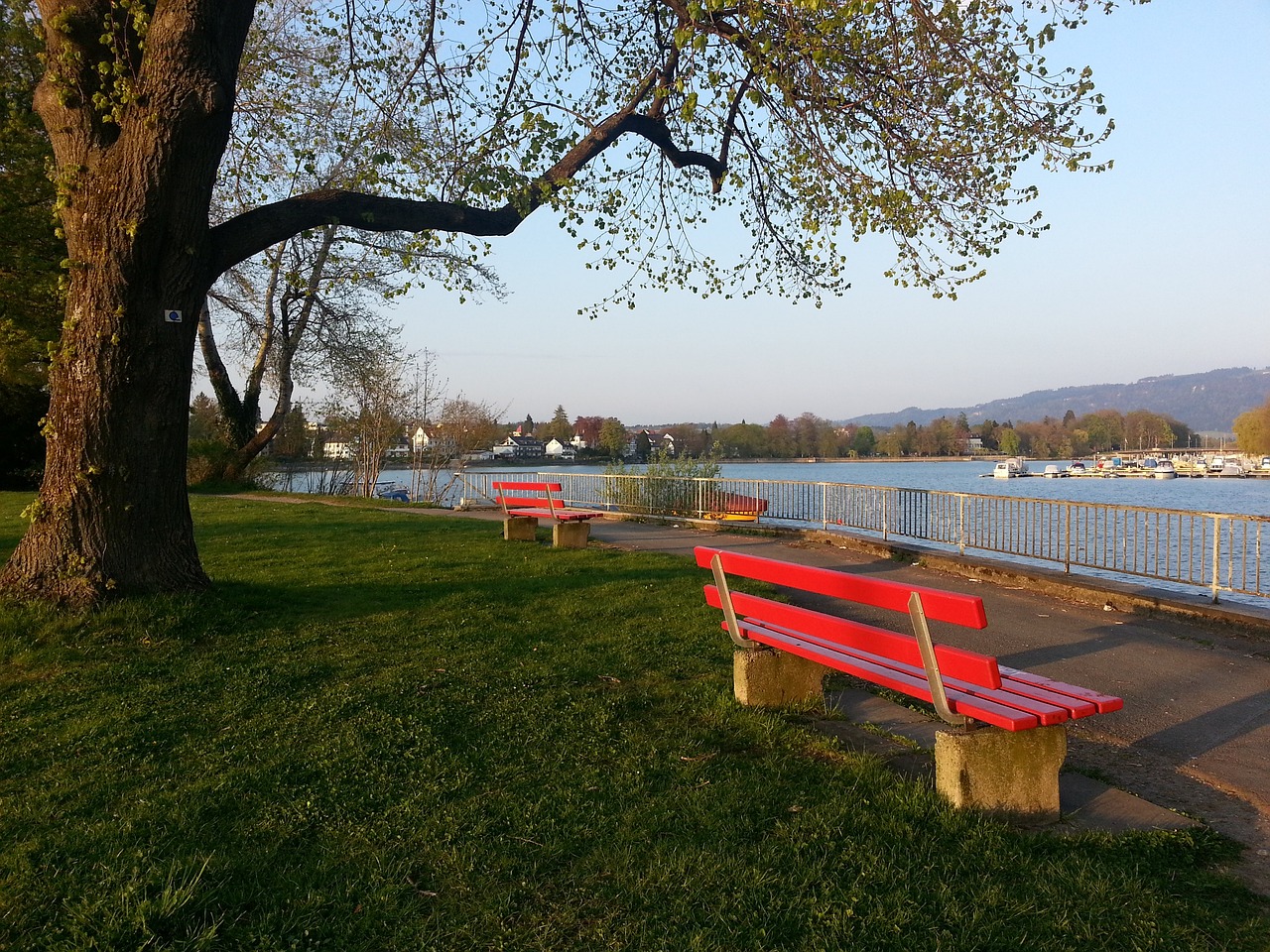 面对字母哥 面对字母哥