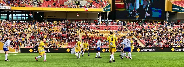 可谓是星光 可谓是星光