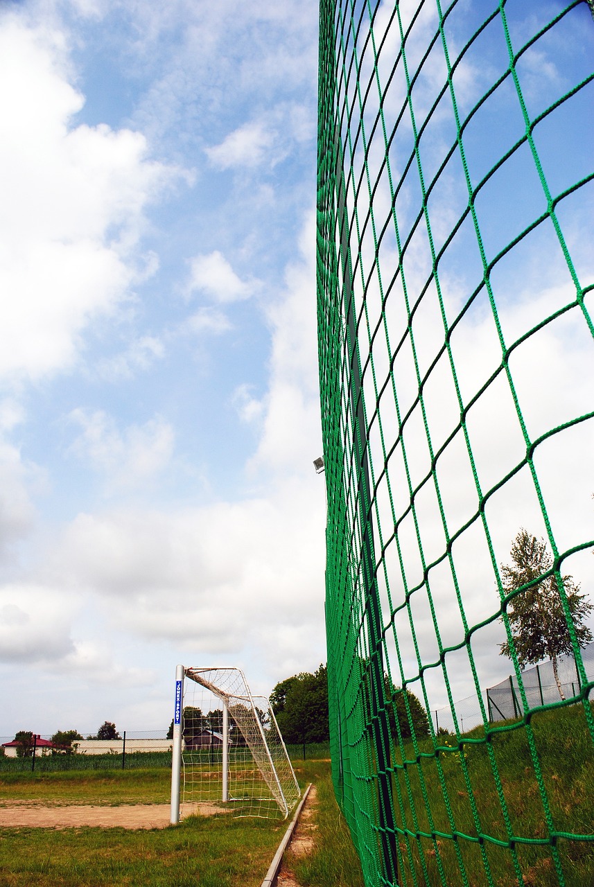 为主场作战 为主场作战