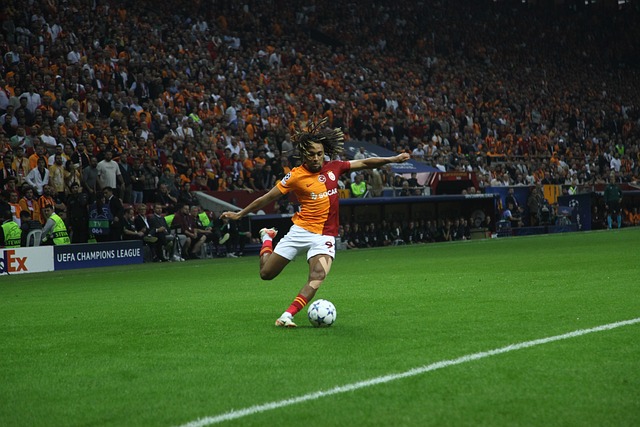 石家庄永昌 石家庄永昌