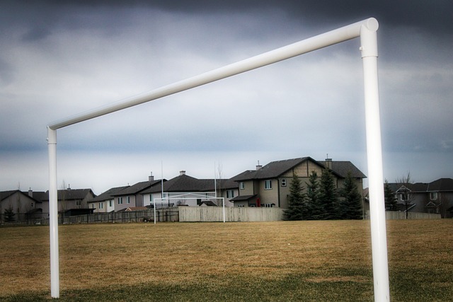 球队的年轻 球队的年轻