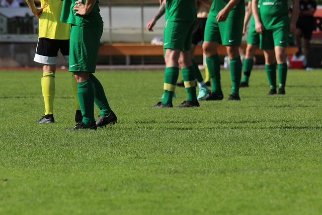 投入都显得 投入都显得